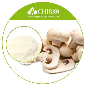 Mushroom Chitosan Powder - Manufacturer - Acid Soluble for Food Supplement Applications