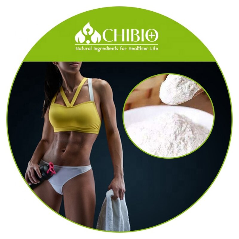 L-Arginine Powder - Manufacturer - ISO Certified for Sport Drink Muscle Building