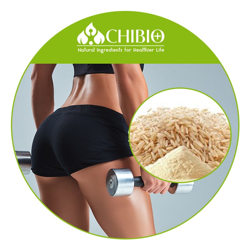 Brown Rice Protein - Manufacturer - 80% Organic for Health Care Body Protecting