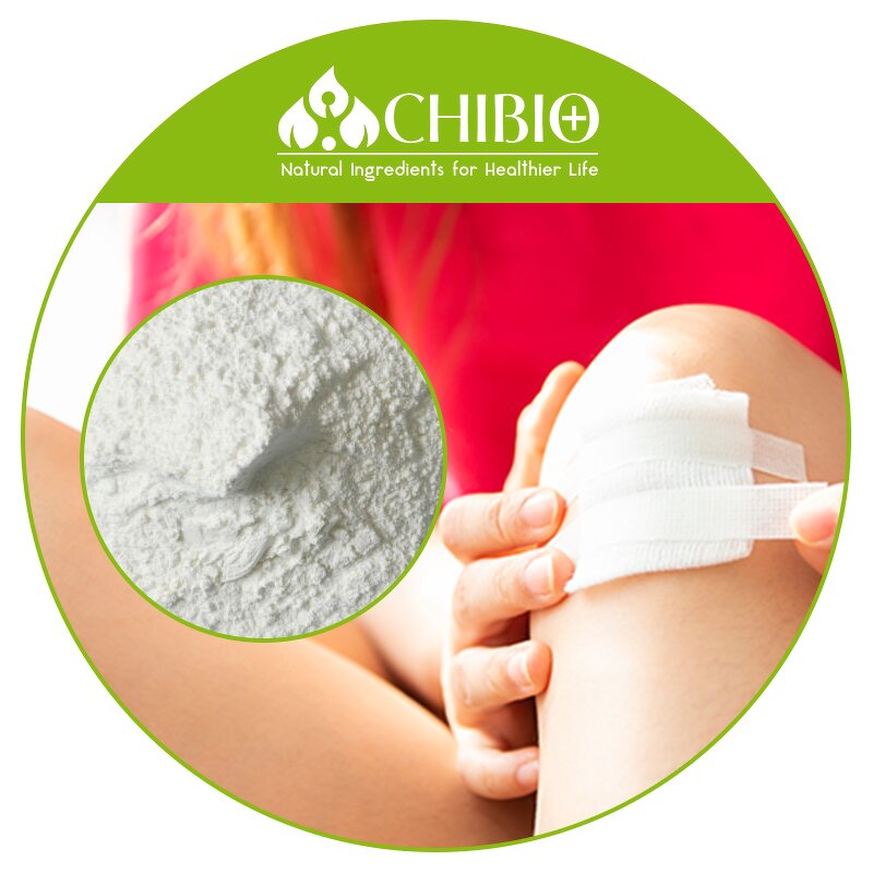 Chondroitin Sulfate - Manufacturer - Bulk Price Powder for Exercise Recovery