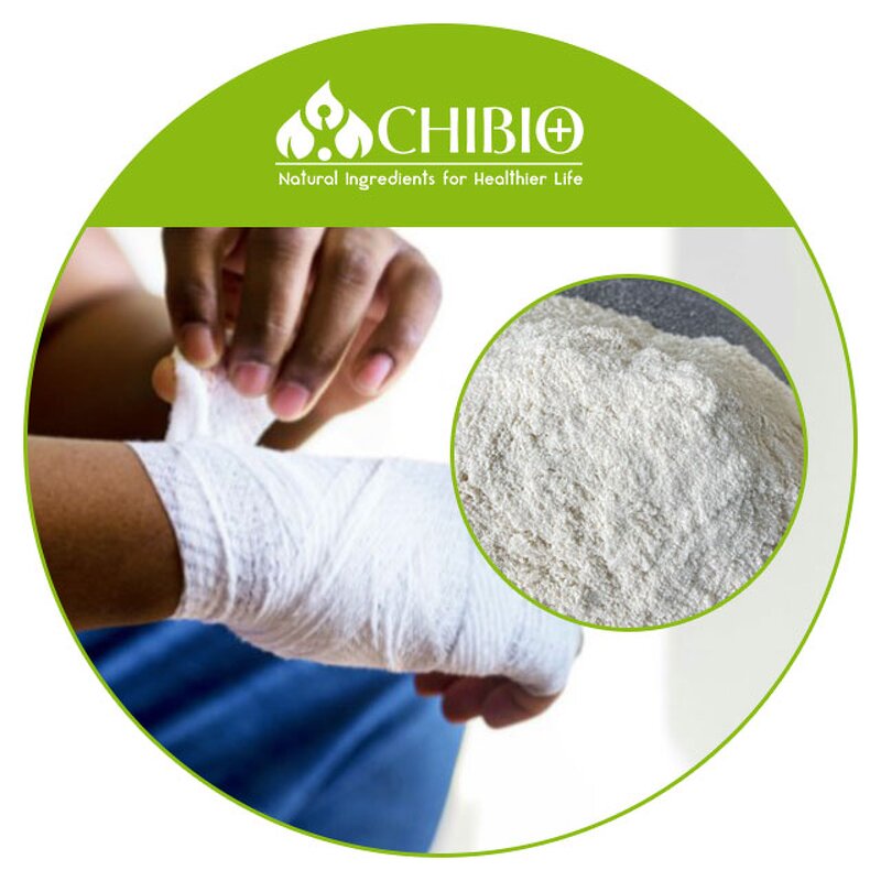 Chitosan Powder - Manufacturer - DDA98% Aspergillus Niger for Hemostatic Wound Gauze