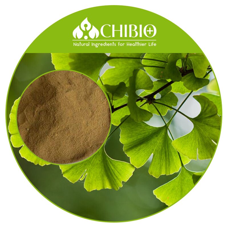 Ginkgo Biloba Extract - Manufacturer - Natural Sourced for Physical Health Care