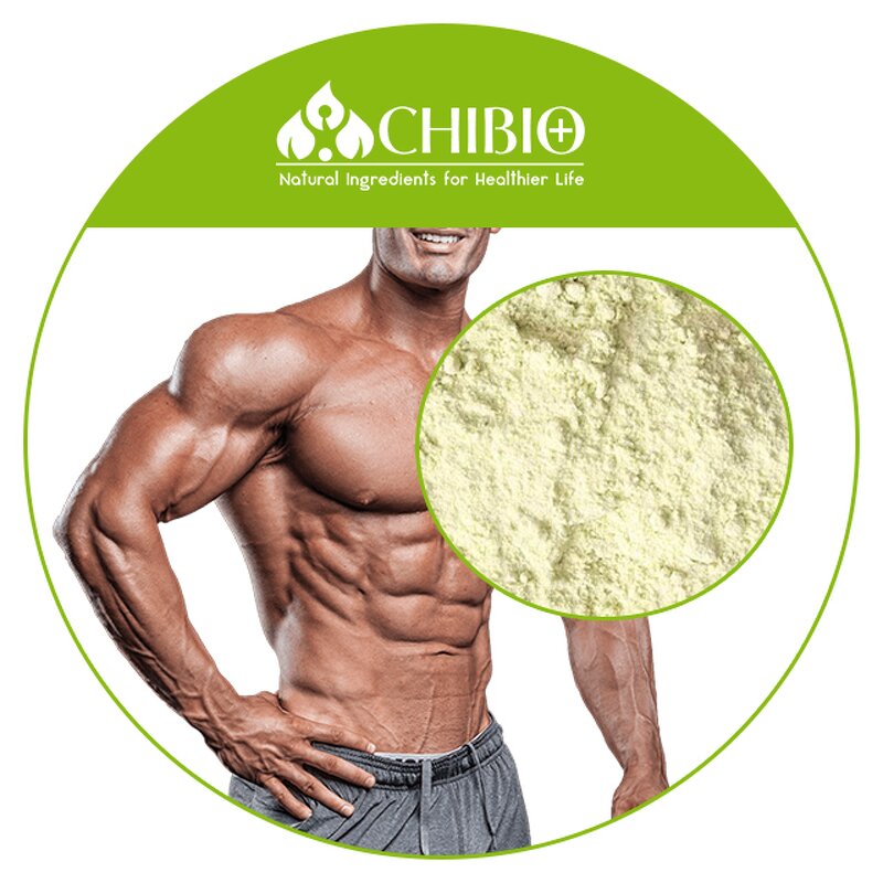 Pea Protein Peptides - Manufacturer - Food Grade 85% Milky White for Vegetarian Supplement