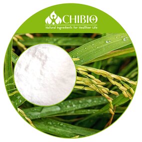 Ferulic Acid Powder - Manufacturer - Top Grade Vegetal Sourced for Skin Health
