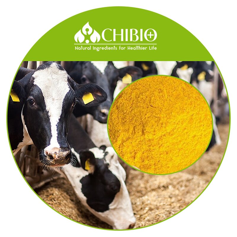 Vitamin E Powder - Factory - Direct Supply Feed Grade for Cattle Chicken Fodder