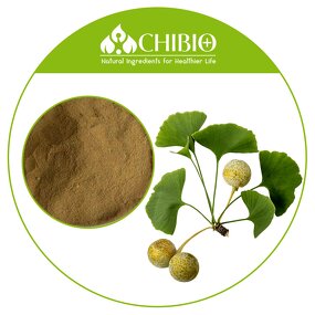 Ginkgo Biloba Extract - Manufacturer - Natural Sourced for Physical Health Care