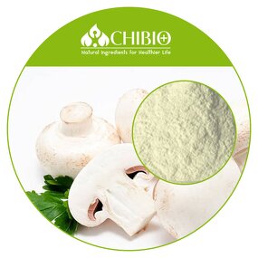 Chitosan Raw Material - Manufacturer - HALAL Water Soluble Hydrochloride Powder