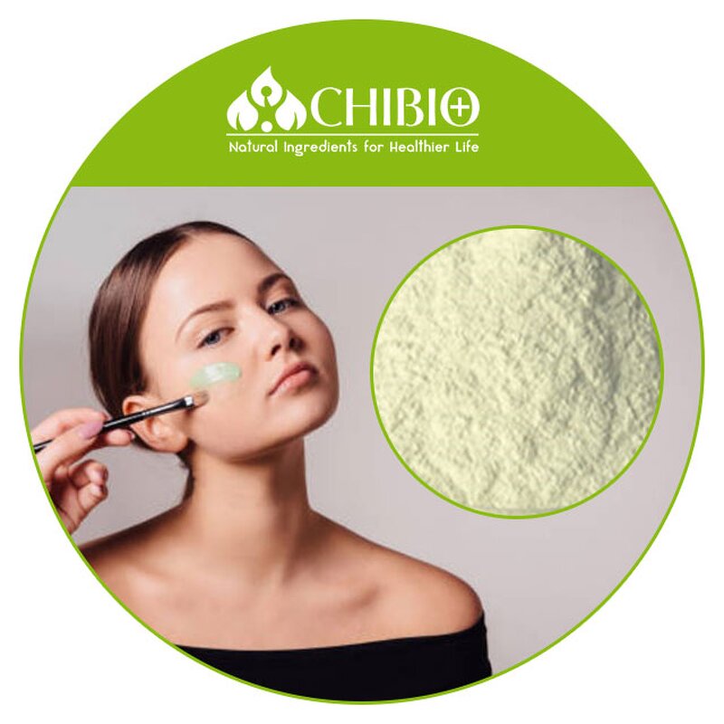 Green Tea Extract Powder - Manufacturer - 100% Vegetal Origin for Cosmetics Making