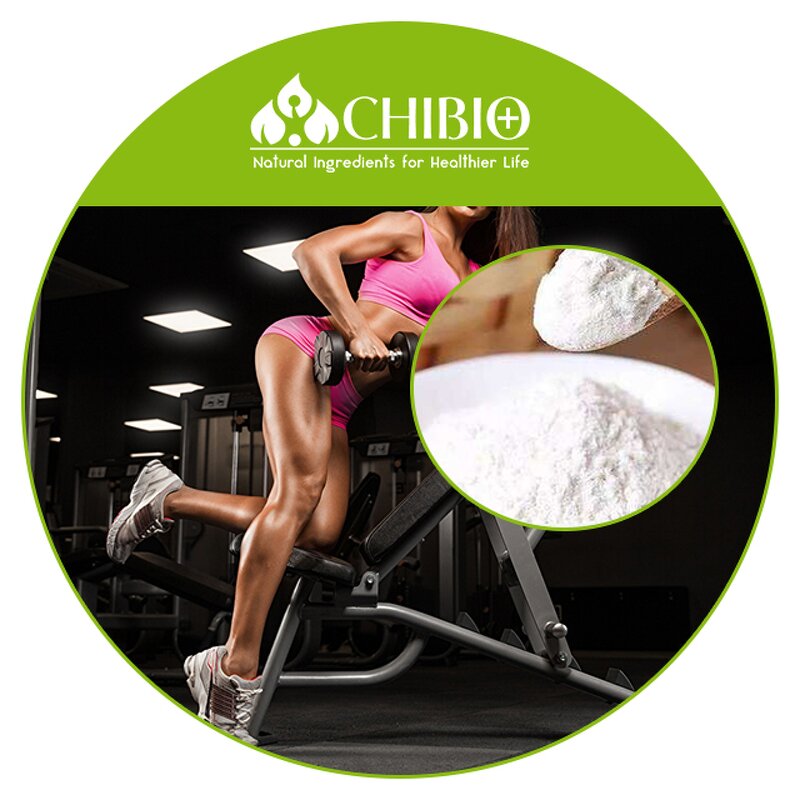 L-Arginine Powder - Manufacturer - ISO Certified for Sport Drink Muscle Building