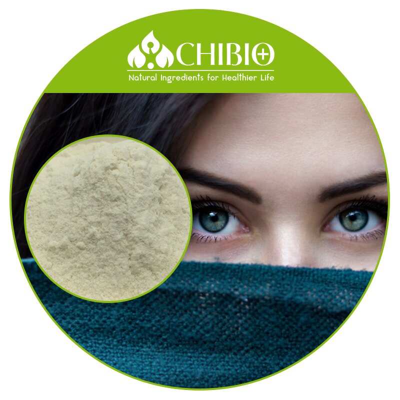 DHA Powder - Manufacturer - Fish or Algae Oil Omega 3 Powder Bulk Supply