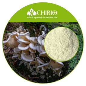 Mushroom Chitosan - Manufacturer - 100% Vegan 200cps for Plant-based Textiles Leather