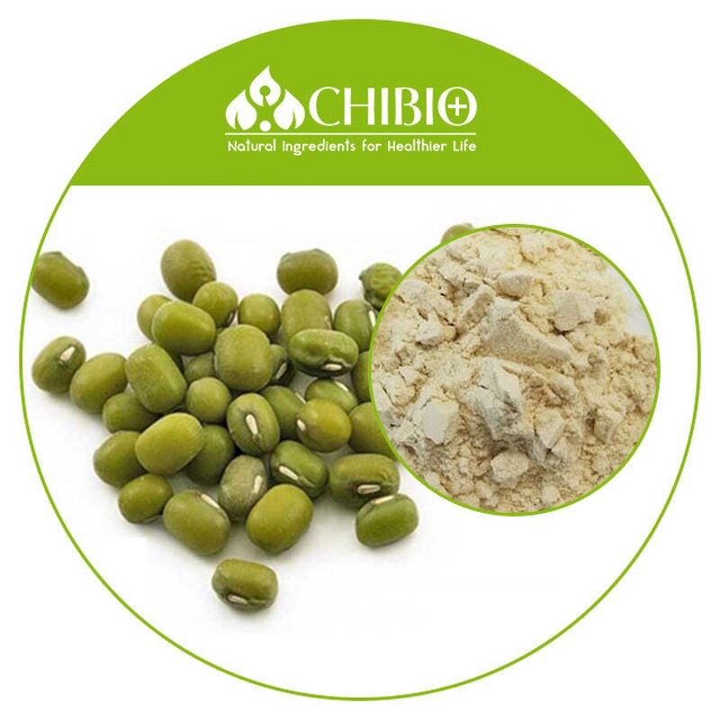 Mung Bean Protein Powder - Manufacturer - Organic Vegan High Nutritional Value Bulk Powder