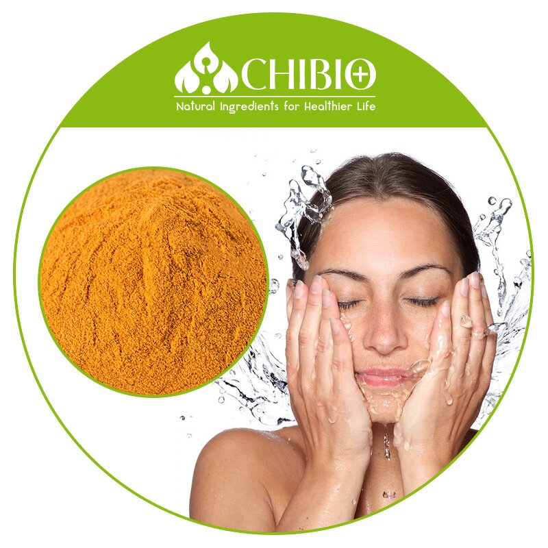 Coenzyme Q10 Powder - Manufacturer - 90% Pure for Cosmetic Personal Care Raw Material