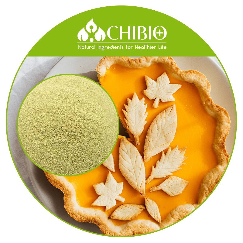 Alginic Acid Powder - Manufacturer - Seaweed Sourced Vegetal Extracted Bread Softening Agent