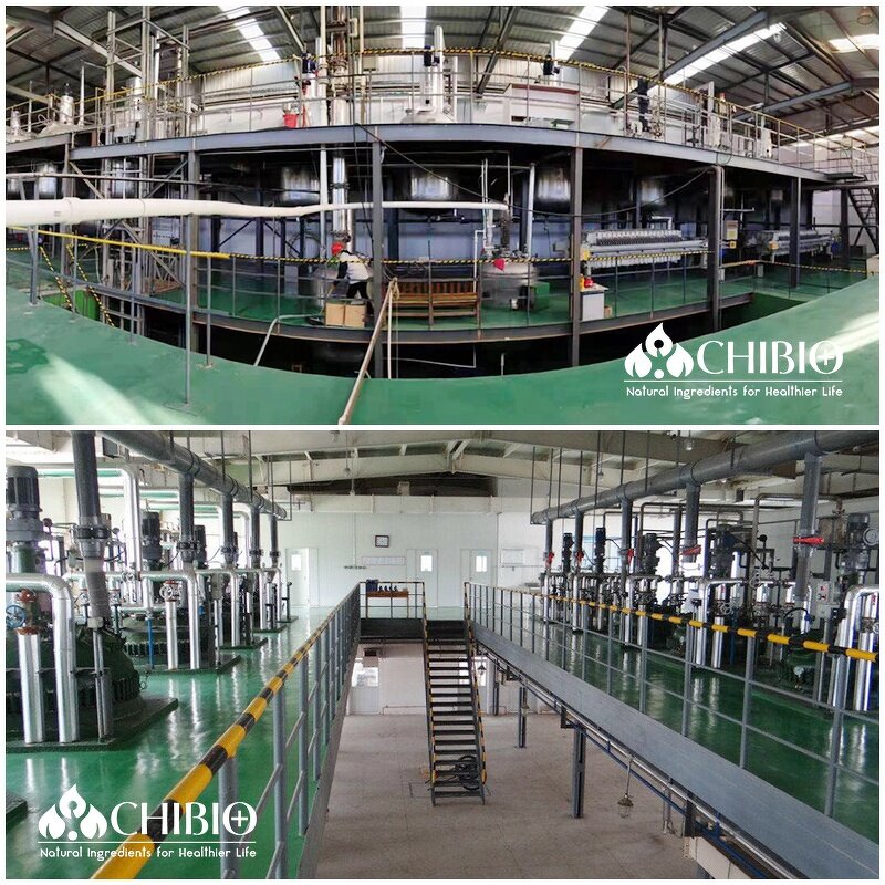 Vitamin E Oil - Manufacturer - Pure Quality for Skin Eyes Protection Cosmetics