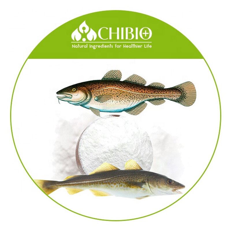 Cod Fish Collagen Powder - Manufacturer - High Purity 1500Da for Beauty Anti-wrinkle