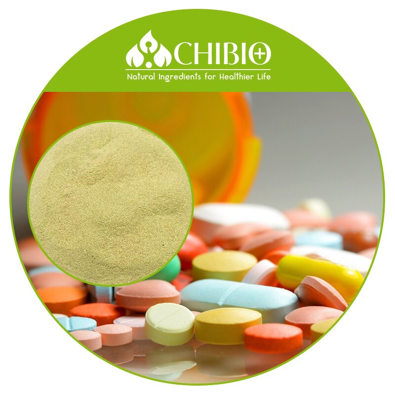 Sodium Alginate Powder - Manufacturer - High Viscosity for Cardiovascular Health