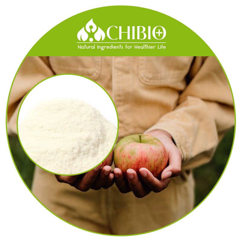 Mushroom Chitosan Powder - Manufacturer - Plant Source for Horticultural Use CAS 9012-76-4