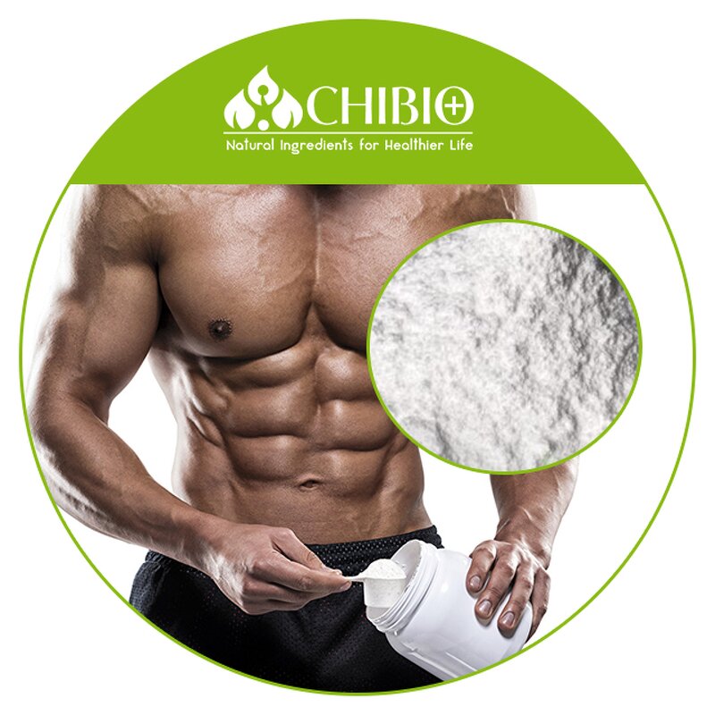 HMB Powder - Manufacturer - Pure Hydroxymethyl Butyrate for Muscle Building