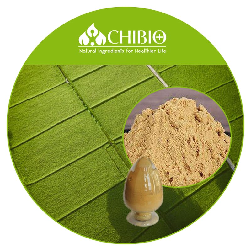 Chitosan Oligosaccharide - Manufacturer - Water Soluble Chitosan Oligo Bulk Powder