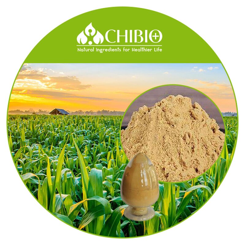 Chitosan Oligosaccharide - Manufacturer - Water Soluble Chitosan Oligo Bulk Powder