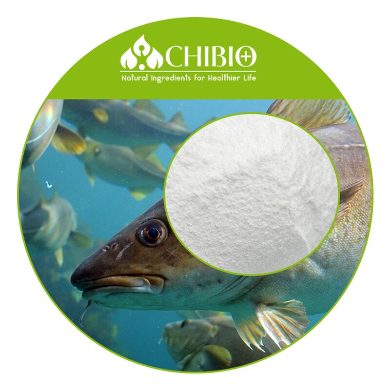 Cod Fish Collagen Powder - Manufacturer - High Purity 1500Da for Beauty Anti-wrinkle