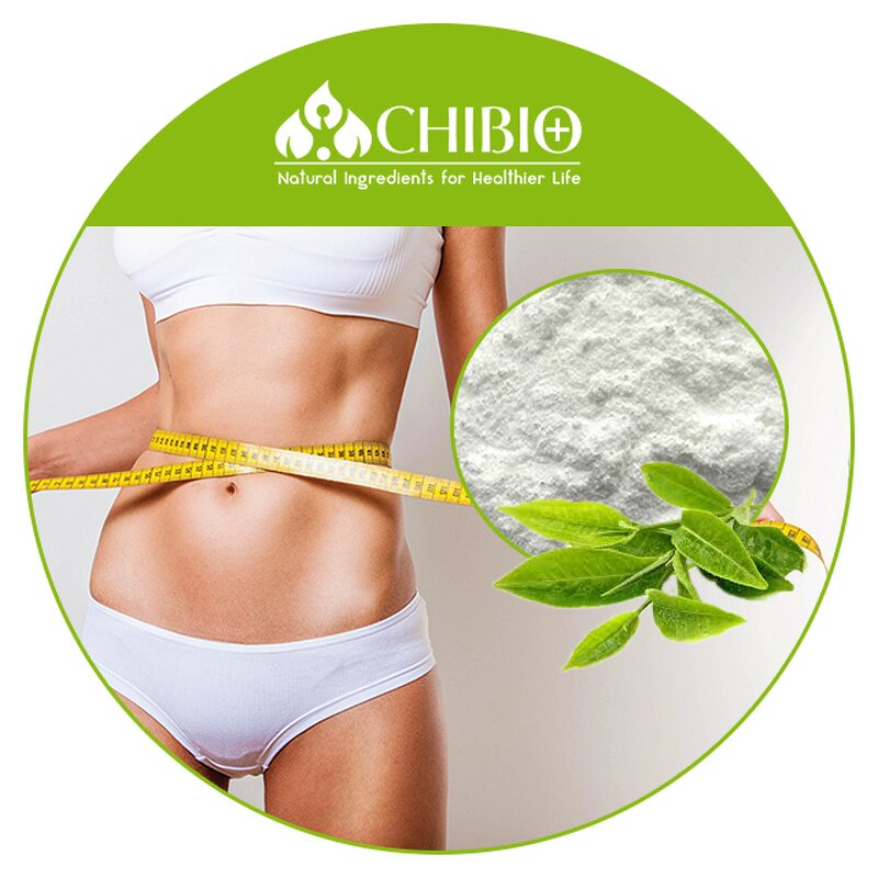 Theacrine Powder - Manufacturer - Kucha Tea Extract Wholesale Bulk for Body Health