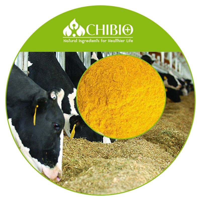 Vitamin E Powder - Factory - Direct Supply Feed Grade for Cattle Chicken Fodder