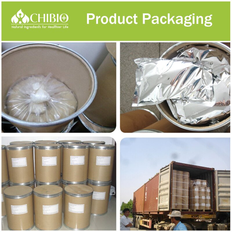 Mushroom Chitosan - Manufacturer - Natural Food Grade Chitin Chitosan Bulk Sale