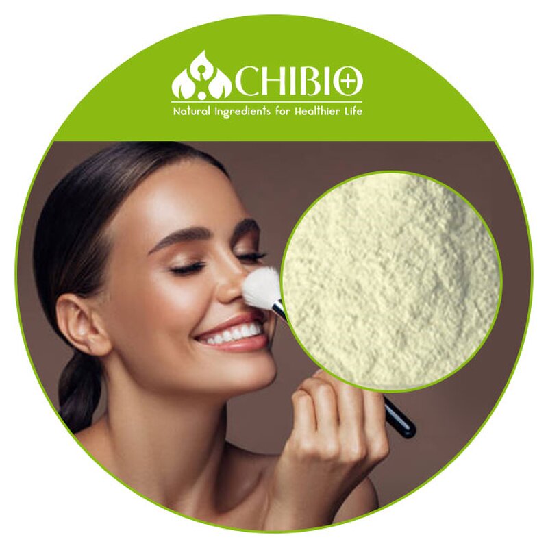 Green Tea Extract Powder - Manufacturer - 100% Vegetal Origin for Cosmetics Making
