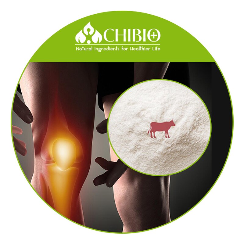 Beef Collagen Peptides - Manufacturer - 100% Grass Fed Hydrolyzed Protein Powder