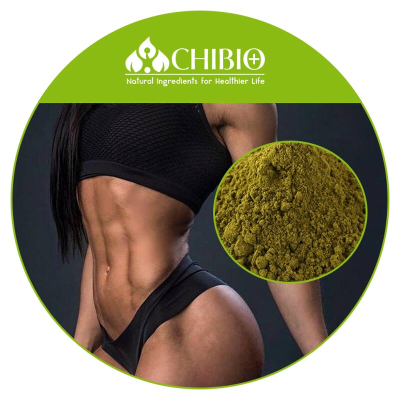Hemp Protein - Manufacturer - Natural Source Raw Material for Food Supplement