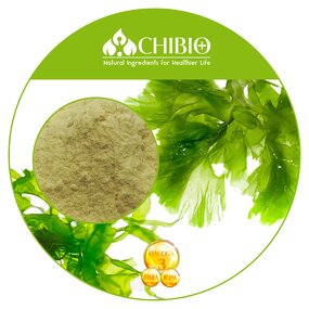 DHA Algae Oil Powder - Manufacturer - Pure Omega3 for Heart Eye Joint Health