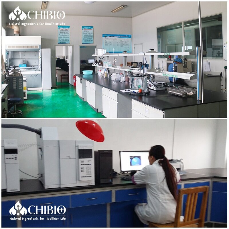 Lysozyme Powder - Manufacturer - Raw Material for Food Preservatives Bulk Supply