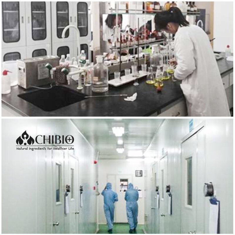 Hyaluronic Acid Powder - Manufacturer - Skin Care Raw Material for Personal Care Products