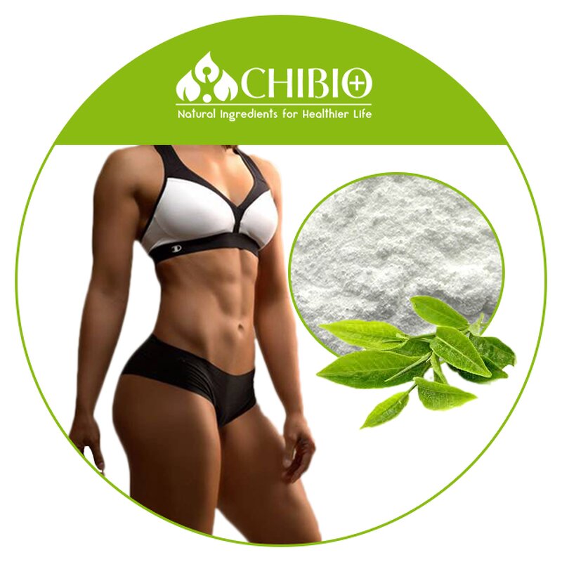 Theacrine Powder - Manufacturer - Kucha Tea Extract Wholesale Bulk for Body Health