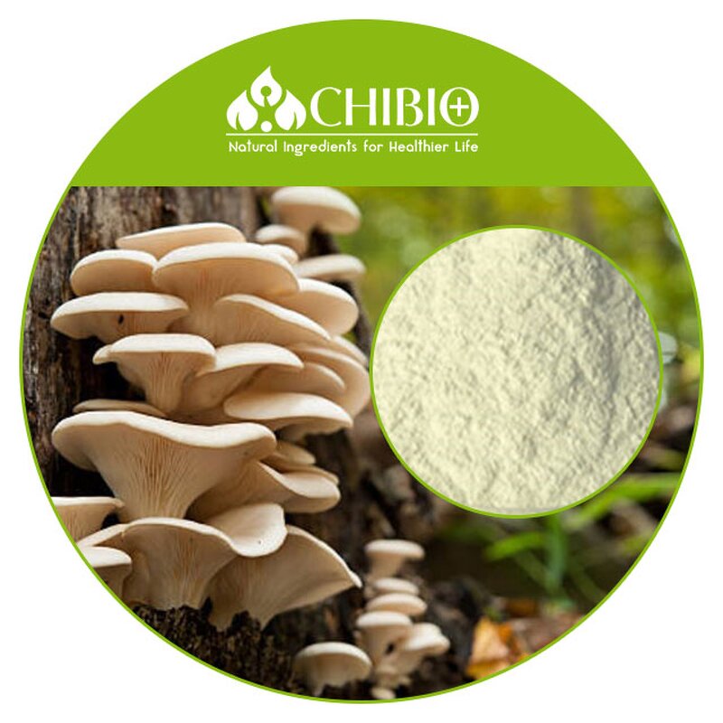Mushroom Chitosan Powder - Manufacturer - Kosher Ingredients Raw Material Supplier