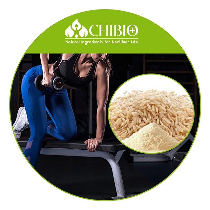 Brown Rice Protein - Manufacturer - 80% Organic for Health Care Body Protecting