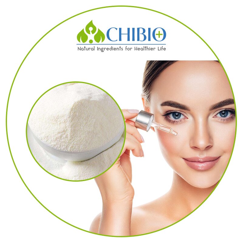 Ferulic Acid Powder - Manufacturer - Top Grade Vegetal Sourced for Skin Health