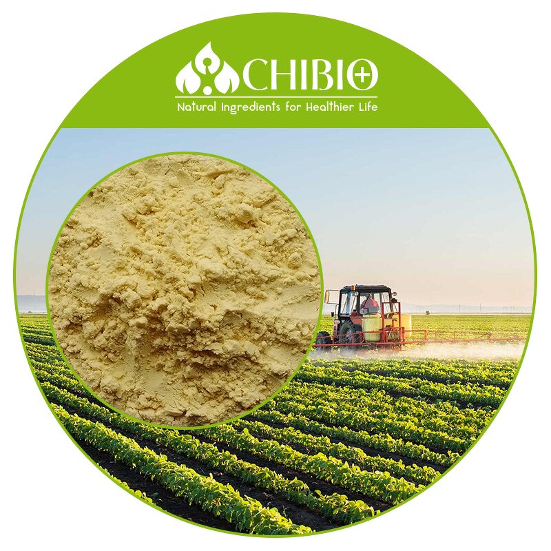 Alginate Oligosaccharide - Factory - Agricultural Grade Enzymatic Hydrolysis Supply Bulk