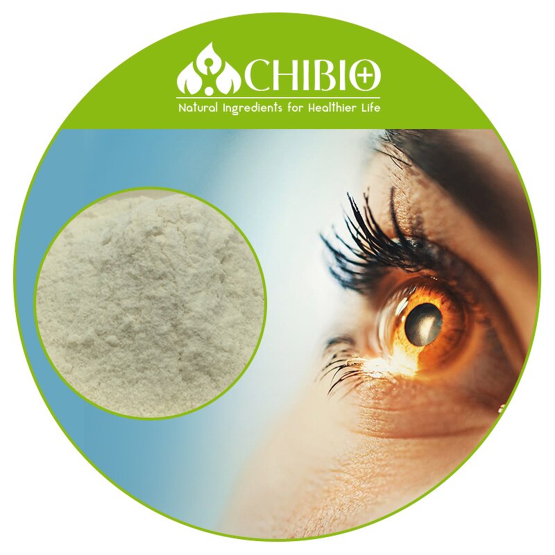 DHA Powder - Manufacturer - Fish or Algae Oil Omega 3 Powder Bulk Supply