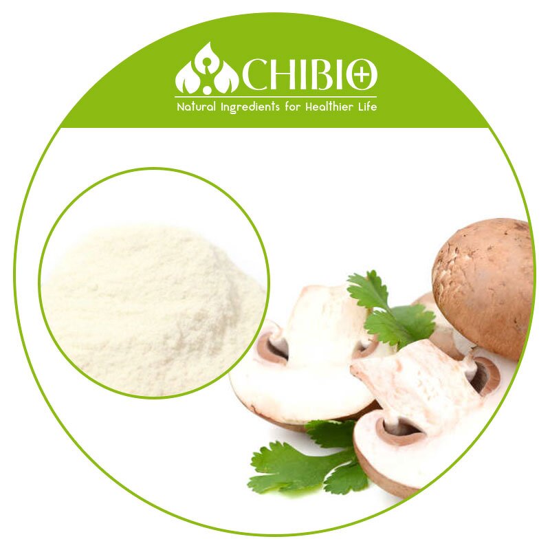 Mushroom Chitosan Powder - Manufacturer - Acid Soluble for Food Supplement Applications