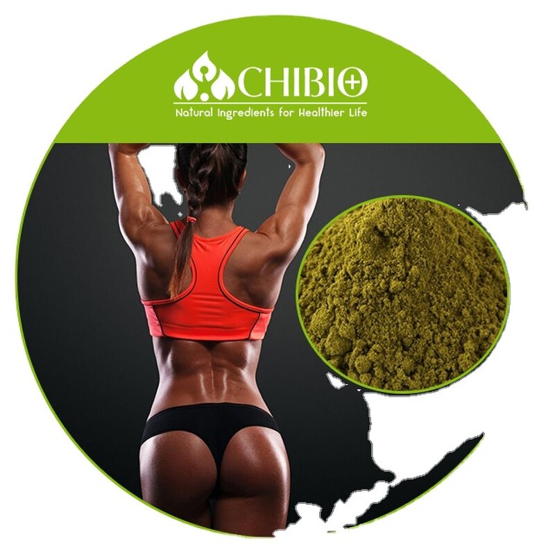 Hemp Protein Powder - Manufacturer - Pure Dietary Fiber for Energy & Muscle Building