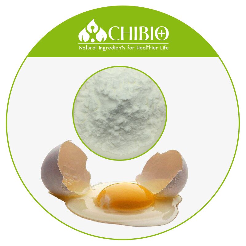 Lysozyme Powder - Manufacturer - Raw Material for Food Preservatives Bulk Supply