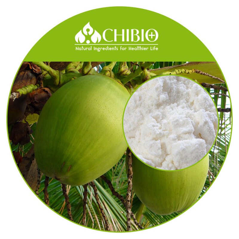 Coconut Protein Powder - Factory - Plant Source Protein Direct Supply Bulk