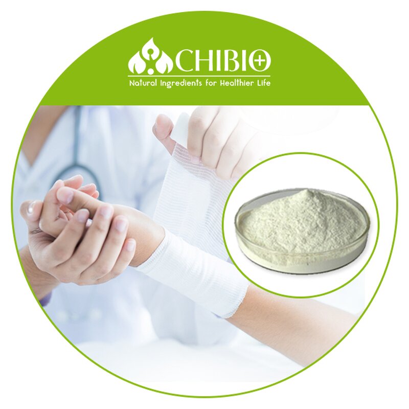 Chitosan Powder - Manufacturer - Hemostatic Dressing Fungal Vegetarian Bulk Supply