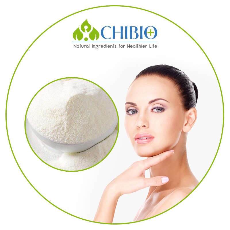 Ferulic Acid Powder - Manufacturer - Top Grade Vegetal Sourced for Skin Health