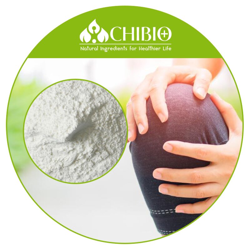 Chondroitin Sulfate - Manufacturer - Bulk Price Powder for Exercise Recovery
