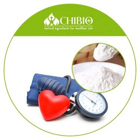 L-arginine Powder - Manufacturer - Top Grade Sports Ingredients for Energy & Slimming