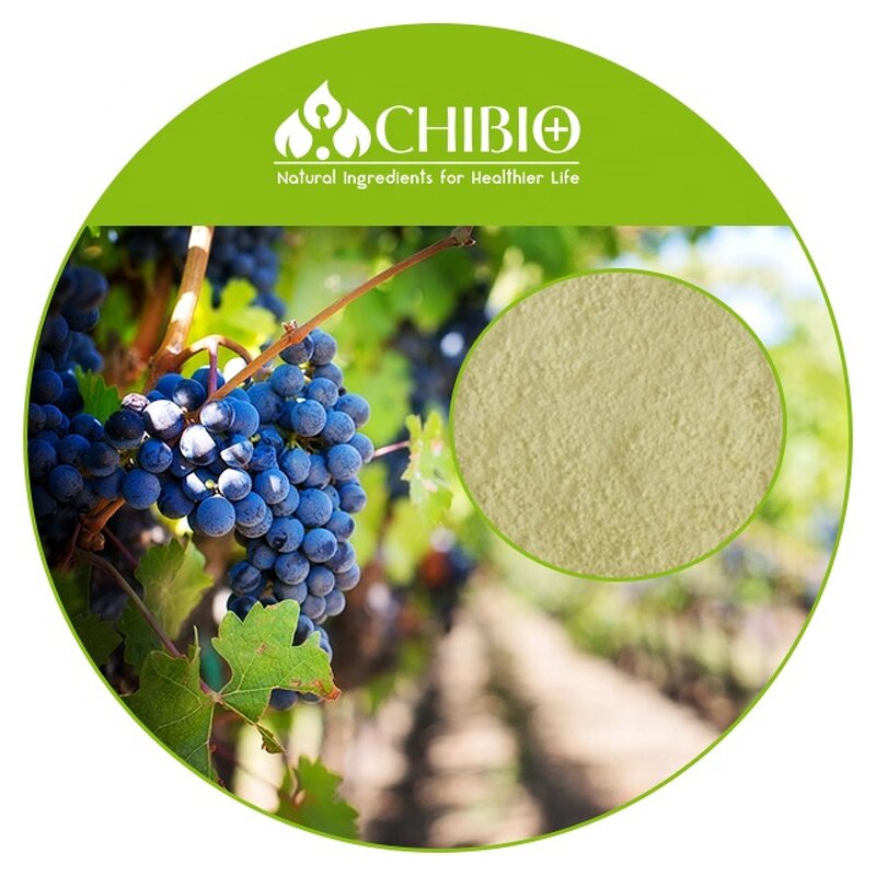 Potassium Polyaspartate - Manufacturer - KPA Powder Food Additive Wine Cold Stabilization